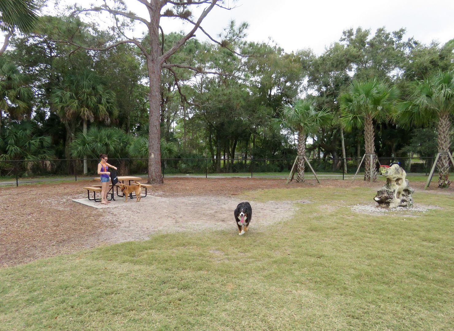Winds of Destiny RVLife Bonita Springs Dog Parks, 10/30/2016